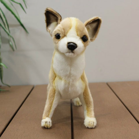 楽天ハートマークショップ犬 ぬいぐるみ チワワ いぬ イヌ リアル 本物 そっくり かわいい