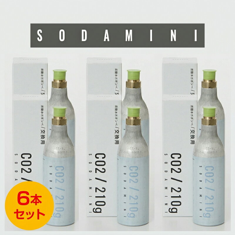【お買い得 6本セット】ソーダミニ ソーダミニII専用 交換用 炭酸ガスボンベ SM3002×6 SODA MINI II 家庭用炭酸水メーカー 炭酸ガス シリンダー ボンベ カートリッジ 交換ボンベ 炭酸水 製造機 交換用ガス （ボンベ返却送料無料） ＼楽天ランキング1位！／