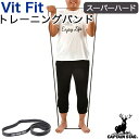 【CAPTAIN STAG/キャプテンスタッグ】 筋トレ エクササイズ ストレッチ トレーニングバンド スーパーハード Vit Fit UR-898 パール金属