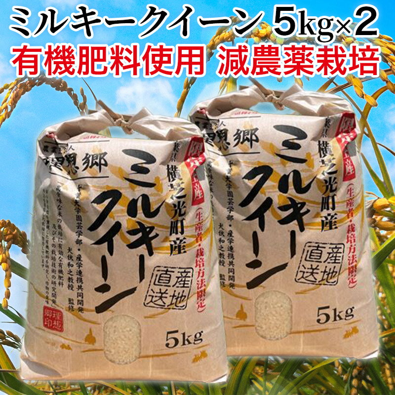 【新米・令和3年産】千葉県産 理想郷 ミルキークイーン 10kg（5kg×2） 千葉...