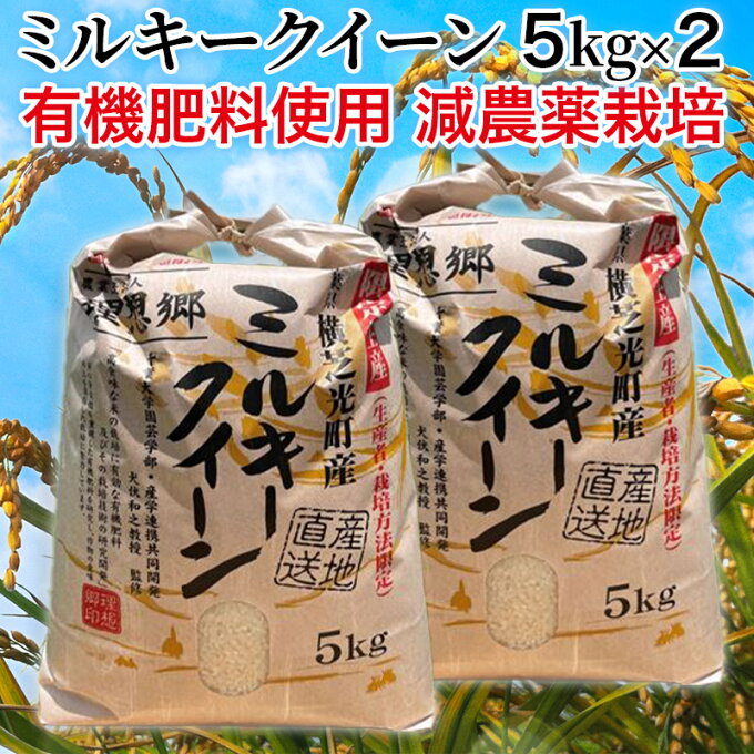 【新米・令和3年産】千葉県産 理想郷 ミルキークイーン 10kg（5kg×2） 千葉...