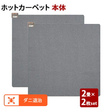 【★エントリーでさらに4倍!1月24日20時〜1月28日1時59分迄★】【お買い得2個セット】マイコン式 ホットカーペット 本体ユニット 2畳相当(本体176×176cm) MC-20T 6時間自動切タイマー ダニ退治 暖房面切替 電気暖房 電気カーペット 床暖 MORITA モリタ