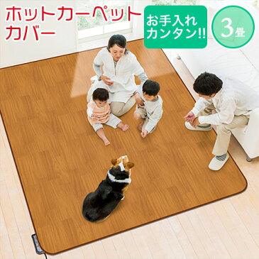 【日本製】 ホットカーペット対応 木目柄 中敷き カーペット 3畳相当 200cm×250cm ホットカーペットカバー 防水 抗菌 防汚 木目 ブラウン AHW-1003HH 明和グラビア