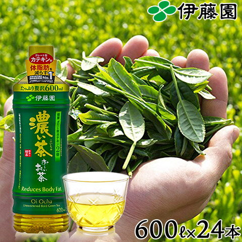 【伊藤園】 お〜いお茶 濃い茶 ペットボトル 525ml （24本入り） 1ケース 国産茶葉使用 定期購入 まとめ買い 箱 レビュー書いて次回500円OFF