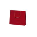 ファインバッグ手提袋 ワイン 1173 10枚