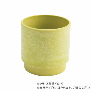 SKステップ 12xH12 ライム 3d00039LI