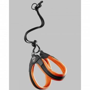 （ペット） TRE PONTI リベルタ　ソフトメッシュ オレンジ 1号 LTP103