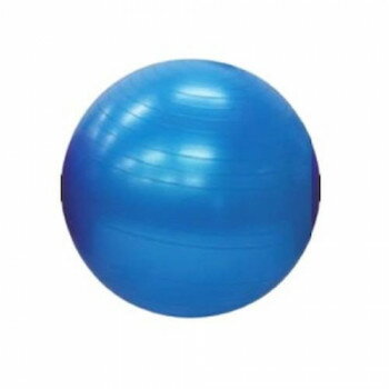 高田ベッド製作所 バランスボール(65) 直径65cm TB-1295-02