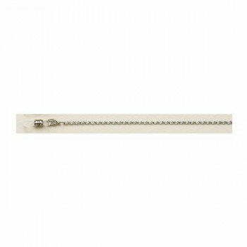 テーシーケース メガネチェーン フレームホルダー シルバー 209W