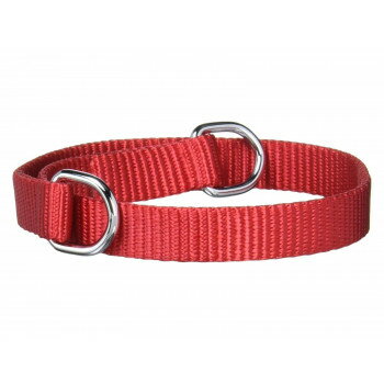 プロ用訓練リード　フラットンカラー　M45cm　赤 030803