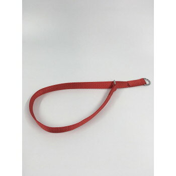 プロ用訓練リード　フラットンカラー　L65cm　赤 030865