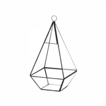 テラリウム トライアングルL 152101