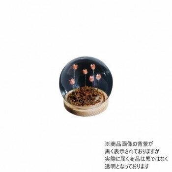 Flower glass dome フラワーガラスドーム 41407(3)