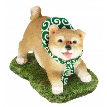 「送り先が、北海道・沖縄・離島 他、特殊地域の場合、ショップにて注文確認後に別途追加送料をご案内させていただく場合がございます。」「お客様都合でのキャンセルの場合、出荷前後にかかわらずキャンセル料などの手数料が発生いたしますので予めご了承く...