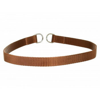 プロ用訓練リード　フラットンカラー　L65cm　茶 030858