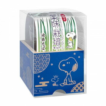 PEANUTS×池森そば 薬味栽培キット SI1500