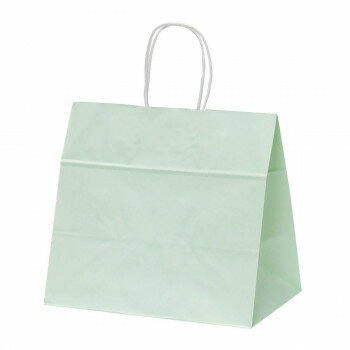 ファンシーバッグ　M　グリーン 50枚 XZL01014