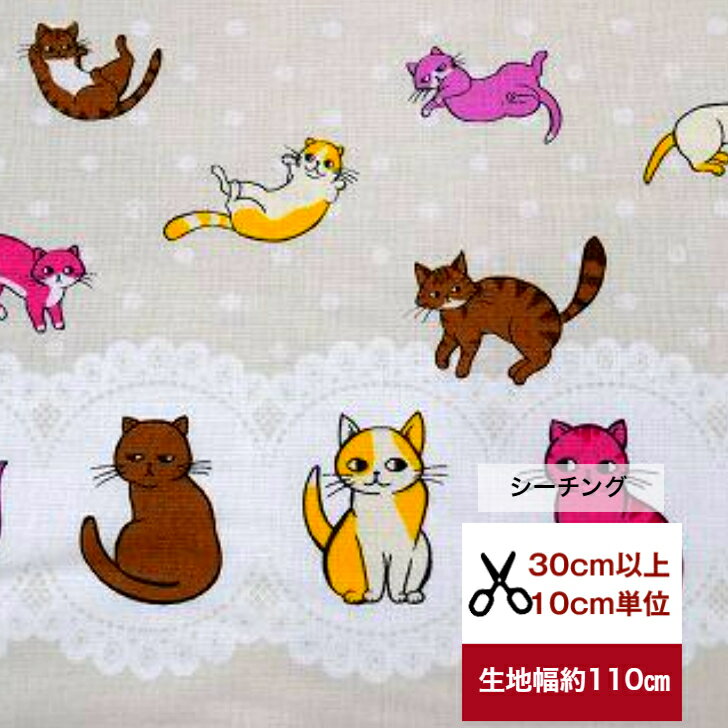 USAåȥ WINDOM Fabric ֤ͤοƻtime WINDOMե֥å ͤ ɥå    ͢ ֥ USA  cat ξܡ ͥ ǭ