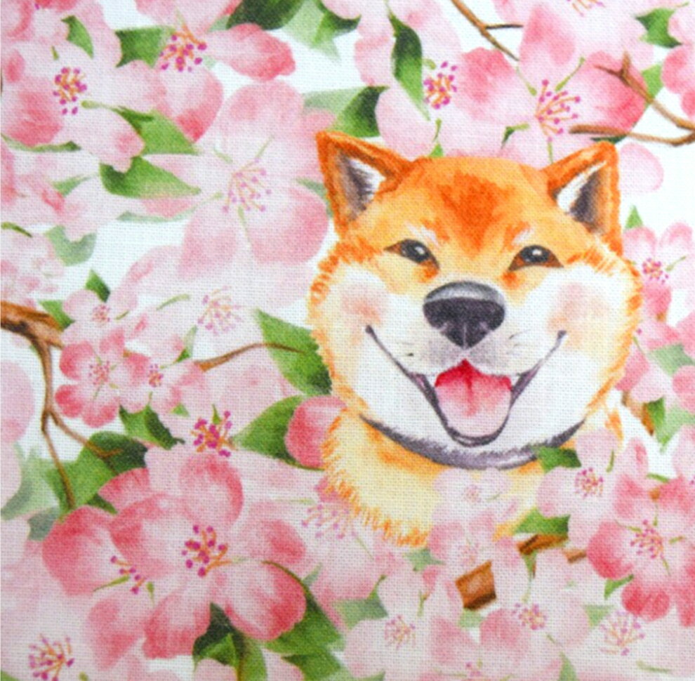 「柴犬とSAKURA」 Gribanessa コットン100％ 綿 布 入園入学 服 手作り カバーリング ボタン 花柄 フラワー 動物柄 犬柄生地 桜 花柄