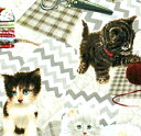 猫好き集まれ!USAコットン SPXファブリック/子猫とハンドメイド/生地/布/綿/猫柄/ネコ/ねこ/ハンドメイド