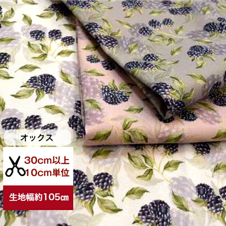 tsukushi֥åסֿΥ֥å٥꡼ åȥ100    ե롼 ǥץ 롼०  Хå ʪʪ  ԡ ٥꡼ ڤμ