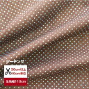 コットンリネンシーチング 「2mmピンドット」 コットン85％ リネン15% 綿麻 水玉 生地 綿 布 小物 インテリア