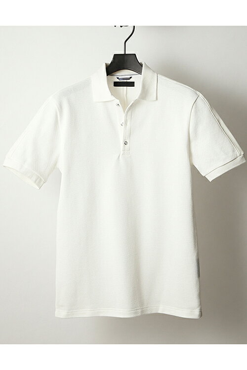 junhashimoto TD POLO