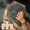 指サック 猫 おもちゃ 犬 面白い ウケる 動画撮影 写真 道具 雑貨 癒し ペット用 おもちゃ 千円ぽっきり 1000円ポッキリ 送料無料 フィンガー ハンズ...