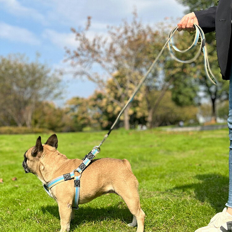 【レビュー特典 】ハーネス リード付き 犬ハーネス ハーネス リードセット 犬用ハーネス ペット ペット用 大型犬 中型犬 戸外用 胴輪 しつけ用 簡単着脱 調節可能 通気 引っ張り防止 散歩 出かけ用 丈夫 安全 軽量化 ハーネス　リードセット 3