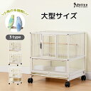【 1,000円OFF 値引 お得 クーポン 利用可 】 鳥用 ケージ 鳥かご キャスター付き インコ 文鳥 小動物 ホワイト シンプル おしゃれ 錆防止 丈夫