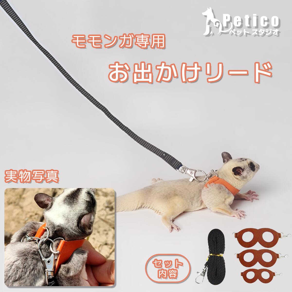【レビュー特典 】 モモンガ 用品 モモンガ お出かけ モモンガ 持ち出し フクロモモンガ 専用 お出かけ用 リード フクモモ お出かけグッズ ハーネス お散歩 脱走防止 安全 簡単装着 使いやすい おすすめ の フクロモモンガ グッズ 3点セット モモンガ専用ハーネス