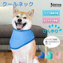 【レビュー特典 】クールネック 犬用 熱中症 暑さ 対策 夏 クールバンド セット 犬 クールバンダナ クールネック ネッククーラー ペット用 首ひんやり 冷感...