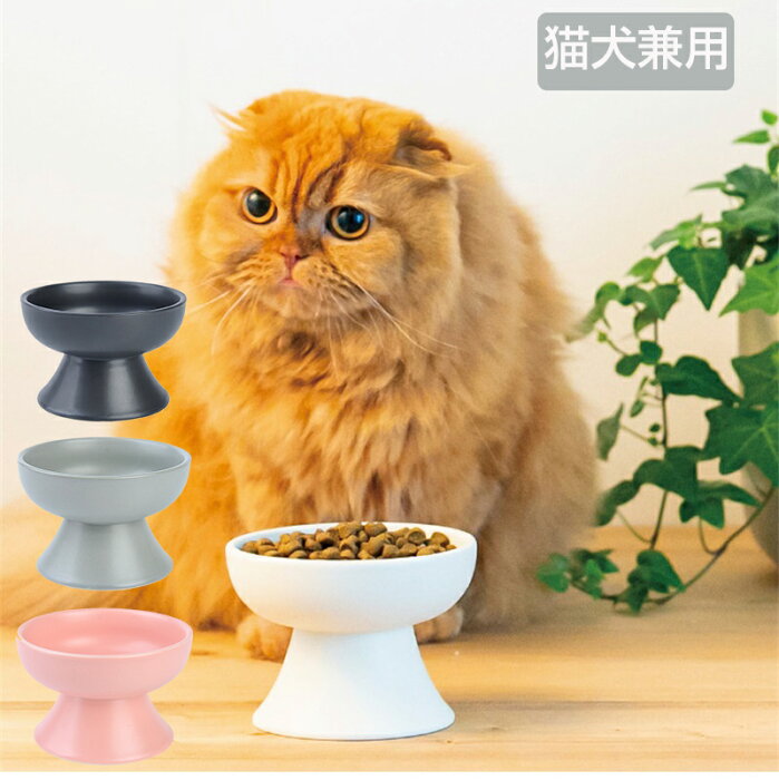 猫 食器 フードボウル 犬 皿 食べやすい 磁器 水飲みボウル 電子レンジ 食洗機対応