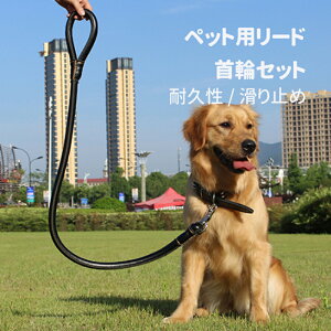 ペット用リード首輪セット 犬用リード 小型犬 中型犬 上品な牽引ロープ 本革レザー お出かけ 散歩用 訓練トレーニングリード 丈夫 滑り止め ペット用品