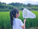 虫取り網 魚取り 捕虫網 虫捕り網 折りたたみ 3段伸縮 昆虫採集 昆虫ネット 川遊び 人体工学設計 水陸両用 175cm