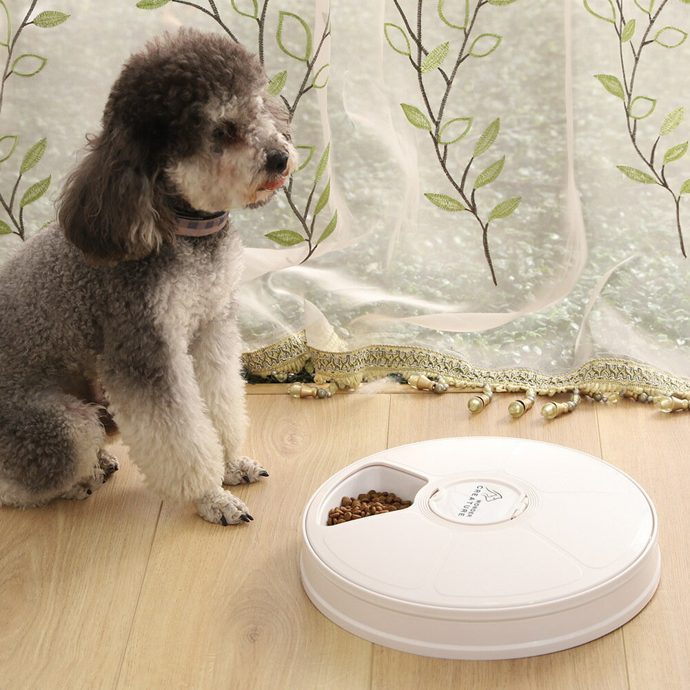 ペット自動給餌器 自動給餌器 ペット 6食分 おしゃれ ペットフィーダー ペット用品 健康管理 餌やり機 自動 犬 猫 猫犬用 ペット食器 自動 えさやり タイマー機能