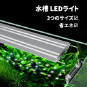 【1年品質保証】水槽 ライト LED アクアリウム Mサイズ ライト 水槽照明 水槽対応 LED水槽ランプ 熱帯魚 水草育成 淡水 海水両用 水族館照明 水中ランプ 観賞魚飼育 長寿命 省エネ 観賞魚 防水 水陸両用 熱帯魚ライト 観賞魚飼育用 アクアリウムライト