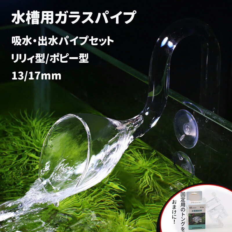 楽天市場】ADA リリィパイプの通販 楽天市場】ADA リリィパイプの通販
