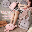 【30日限定P5倍*100円offクーポンあり】足温器 フットヒーター 電気足温器 フットウォーマー 4段階調節 USB 足元ヒーター 足元暖房 暖房器具 こた...