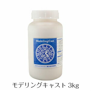 モデリング　キャスト 3Kg　鋳込成形用材　パジコ