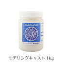 モデリングキャスト 1kg　鋳込成形用材料　