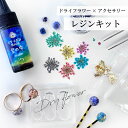 ドライフラワー レジンキット 初心者 お得にアクセサリー制作が楽しめます! 【送料無料】 着色料 星の雫 宝石の雫 パジコ レジンセット レジン キット 手作り...