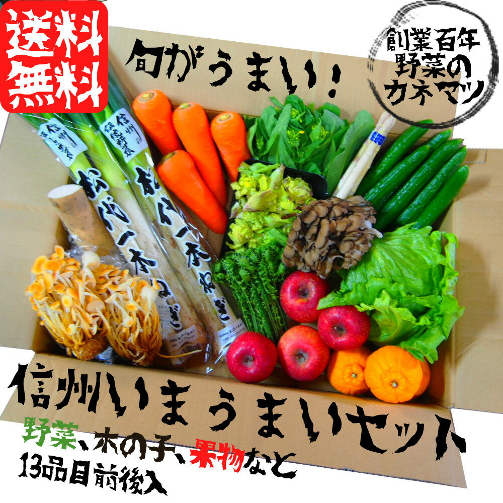 信州いまうまいセットM 13品目前後 野菜 きのこ 果物 セット 詰め合わせ 国産 信州 新鮮 安心 安全 おまかせ ロングセラー 8○8 セレクトセット 食材 こだわり お取り寄せ 国内産 旬 厳選 新鮮 季節野菜 老舗