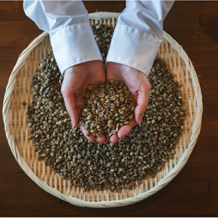 BRILHE COFFEE �����ꥳ���ҡ�Ʀ 100g �������˥å� ͭ��JASǧ�� �֥饸�� �������� ���󥰥륪�ꥸ�� ���ڥ����ƥ��������ҡ� ���󥰥륪�ꥸ�� �ե롼�ƥ����Ƿڤ䤫��̣�襤 �ڤ䤫��̣�Υ饤�ȥ������� �Х�󥿥���