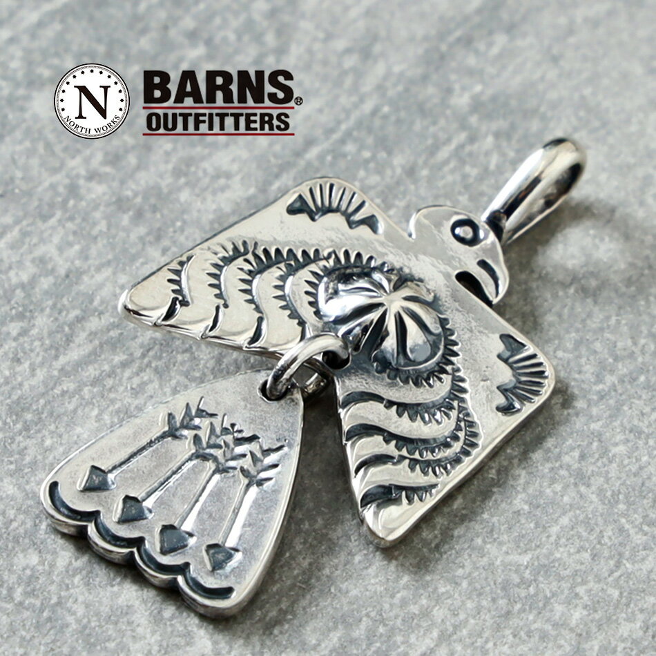 ネックレス トップ イーグル ネイティブアメリカ ユニセックス 日本製 ハンドメイド ノースワークス ペンダント northworks 硬貨 メンズ レディース...