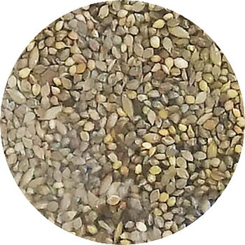 �����ա��� ����Ĥ� 800g