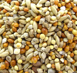 ���������å��� ���������֥���2.5L