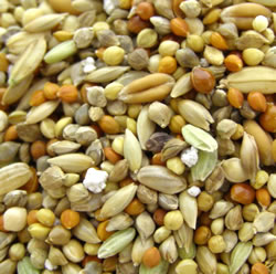 ���������å��� ʸĻ�֥���2.5L