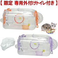 【限定 専用外付けトイレ付き】ルックルック フォーチュン D/飼育セット ハムスターケージ ジャンガリアン ロボロフスキー サンコー