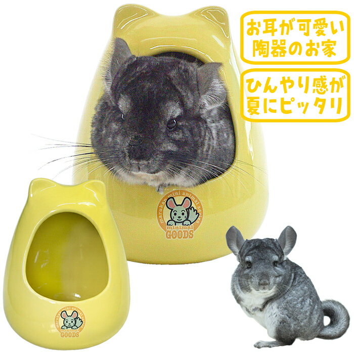 Rakuten - チンチラのおへや